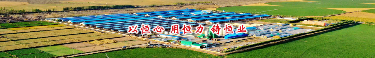 bv1946伟德官网新闻