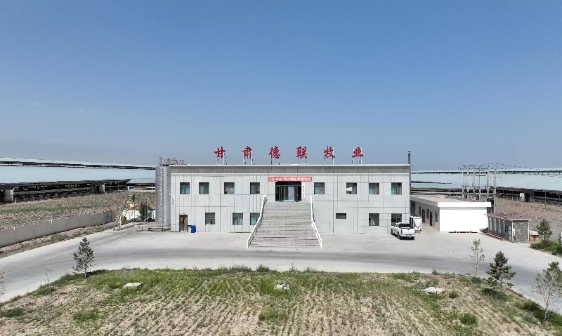 甘肃德联牧业有限公司（bv1946伟德官网集团德联牧场）