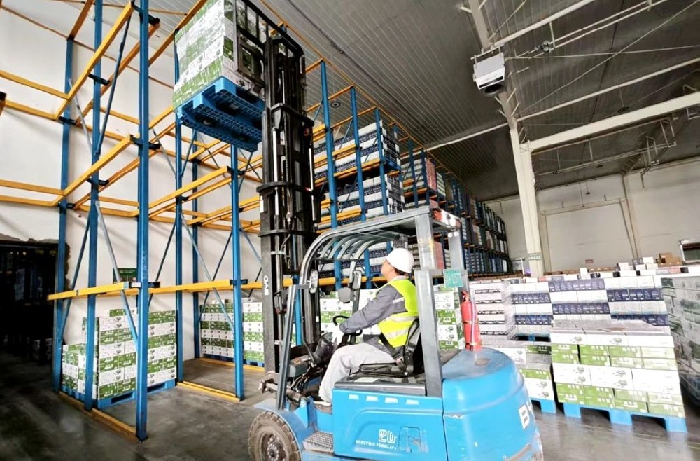 用“大家伙”做“针线活”