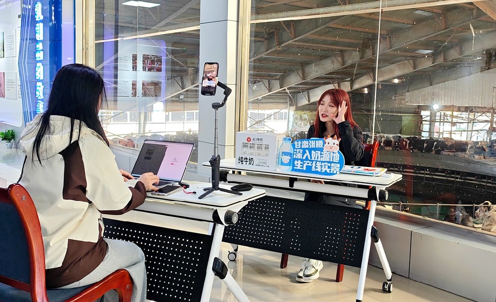 塞上一头牛到bv1946伟德官网集团溯源直播